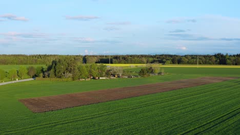 Aufsteigende-Drohne-Schoss-Im-Frühling-über-Landwirtschaftliche-Felder-Mit-Blick-Auf-Die-Alpenberge-Im-Hintergrund-An-Einem-Tag-Mit-Blauem-Himmel