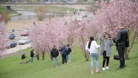Los-Jóvenes-Están-Tomando-Fotos-En-El-Parque-Sakura-De-Cerezo-Japonés-De-Vilnius