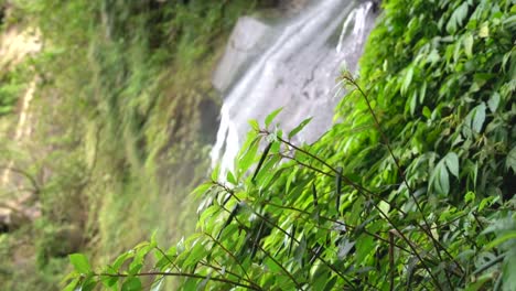 Discovering-nature-and-life-with-beautiful-waterfall,-fresh-air-and-greeneries-landscape