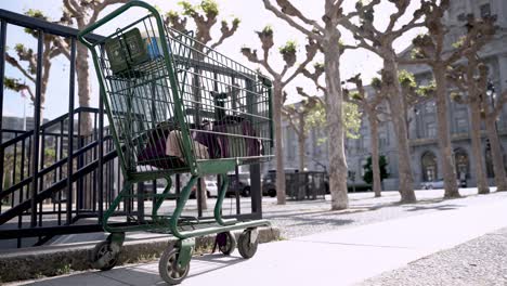 Shopping-cart-abandoned-in-the-park