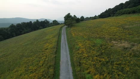 long-trail-in-meadow-in-blue-ridge-mountain-setting