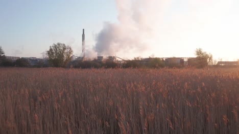 Steel-factory-during-sunrise-with-grain-field-on-foreground