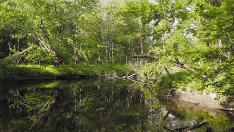Langsam-über-Den-Fluss-Gleiten,-Tief-In-Der-üppigen-Grünen-Vegetation