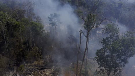 Der-Amazonas-Regenwald-Schwelt-Und-Raucht,-Nachdem-Ein-Verheerendes-Lauffeuer-Den-Lebensraum-Zerstört-Hat---Nach-Oben-Geneigte-Absteigende-Luftaufnahme