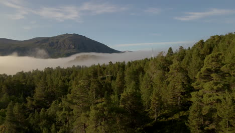 Beautiful-aerial-shot-flying-low-over-a-forest-with-mountains-and-fog-in-Norway
