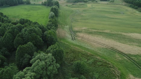 Ariel-following-shot-of-green-grassy-landscape-with-huge-green-trees-and-tractor-tire-marks