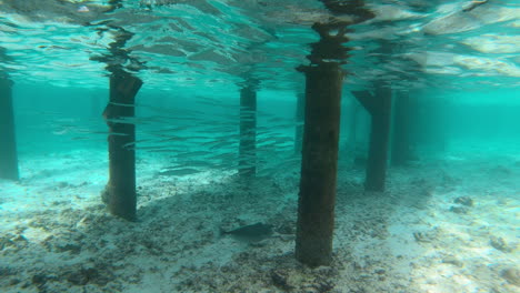 Peces-Nadando-Bajo-El-Poste-De-Madera-Del-Bungalow-En-Maldivas
