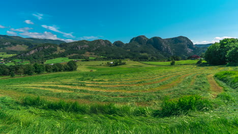 Agricultural-tractor-mow-silage-green-pasture-in-rural-Norwegian-landscapes,-time-lapse