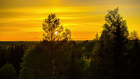 Sonnenstrahlen,-Die-Bei-Sonnenuntergang-Auf-Nadelwald-Zurückstrahlen,-Sommerzeitrafferaufnahme