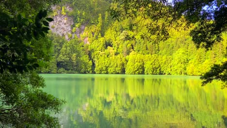 Young-woman-approaching-to-the-bank-of-a-secret-green-lake-hidden-in-the-middle-of-a-forest-on-the-island-of-São-Miguel,-Azores