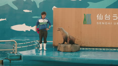 Entzückender-Seelöwe,-Der-Seinen-Trainer-Im-Sendai-Umino-mori-aquarium-In-Miyagi,-Japan,-Vorführt-Und-Imitiert