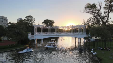 Aerial-static-shot-capturing-boats-paddling-through-under-the-white-bridge-alongside-with-wild-waterfowls-on-rippling-lake-at-downtown-urban-botanical-garden-Paseo-El-Rosedal,-Buenos-Aires