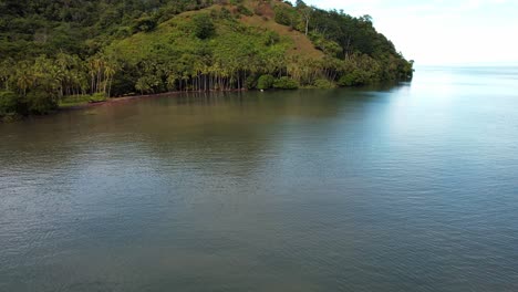 Wald-Aus-Palmen-Und-Vegetation,-Umgeben-Von-Einem-Ruhigen-Blaugrünen-Meer-In-Puerto-Jimenez-Costa-Rica