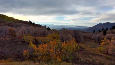 Panoramablick-Aus-Der-Luft-Auf-Eine-Hochgebirgswildnis-Mit-Vollen-Herbstfarben,-Da-Die-Espen-Und-Eichen-Mit-Der-Jahreszeit-Ihre-Farben-ändern