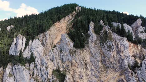 Escénica-Formación-Rocosa-De-La-Montaña-Hasmasul-Mare-Con-Un-Denso-Follaje-De-Pino-En-Piatra-Singuratica,-Rumania