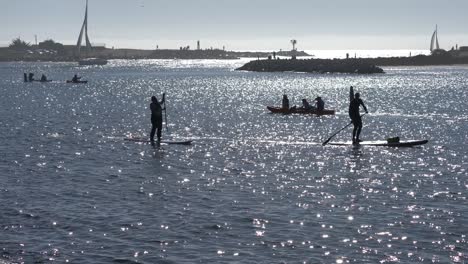 Gente-En-Tablas-De-Remo-Y-Kayaks-En-El-Puerto-De-Aterrizaje-De-Musgo-En-El-Condado-De-Monterey,-California