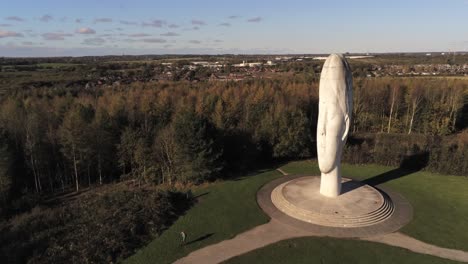 The-Dream-sculpture-Bold-forest-landmark-face-obelisk-statue-aerial-view-St-Helens-slow-push-in
