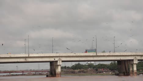 Vogelschwarm-Fliegt-über-Transportbrücke-Auf-Dem-Fluss-Ravi-In-Pakistan