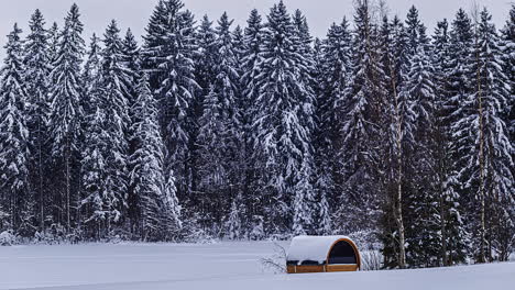 blizzard-falling-over-boreal-forest-and-isolated-thermal-wooden-sauna-in-countryside,-timelapse