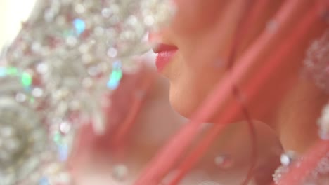 Close-Up-Side-Portrait-Of-Bride-Seen-Through-Pink-Peach-Veil