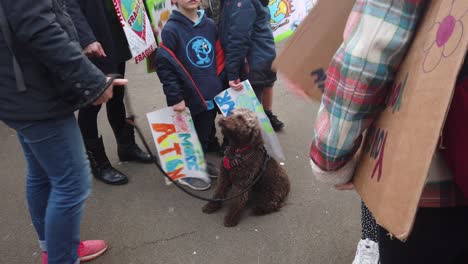 Close-up-of-a-dog-surrounded-by-children-at-a-climate-change-rally