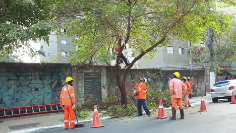 Trabajadores-Podando-Un-árbol-En-Una-Calle-Urbana-Para-Que-No-Dañe-La-Energía-Aérea-Y-Los-Cables-De-Comunicación
