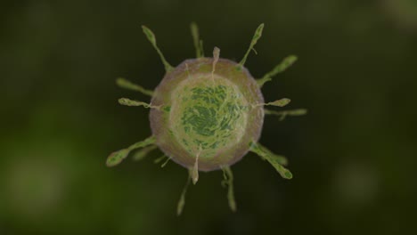 Isolierte-Nahaufnahme-Des-Virus,-Der-Sich-Dreht-Und-Dreht,-Makro-3d-animationsdarstellung-über-Einem-Unscharfen-Hintergrund
