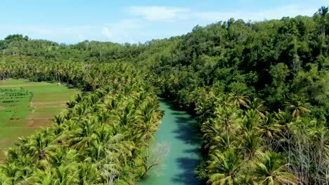 Maron-river-and-lush-untouched-green-forest-in-Pacitan,-Indonesia
