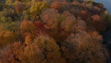 Orange-Blätter-Im-Herbst-In-Nordamerika,-Schöne-Herbstfarben-Rot,-Orange,-Gelb
