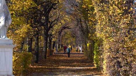 People-out-for-a-stroll-in-beautiful-autumn-park-tunnel