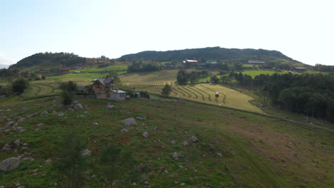 Idyllic-Village-Near-Agricultural-Field-With-Working-Tractor-Cutting-Grasses-For-Silage-Production-In-Norway