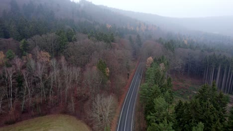 Empty-road-leading-through-the-forests-to-the-misty-mountains-on-the-horizon