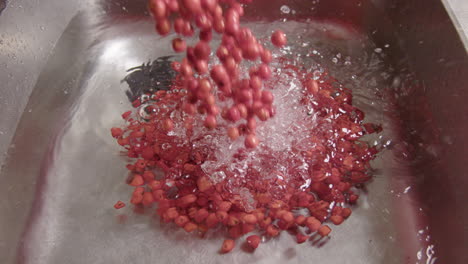 SLOW-MOTION-ZOOM-OUT,-foraged-Rowan-Berries-are-poured-into-sink-to-be-washed