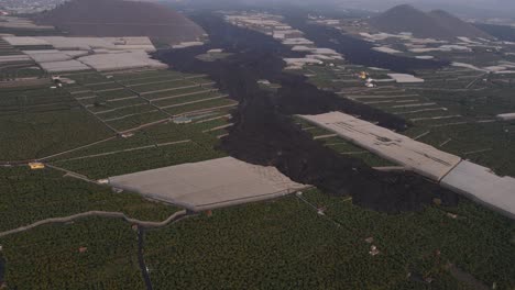Banana-plantation-fields-invaded-by-lava-after-Cumbre-Vieja-volcano-eruption-at-La-Palma,-Canary-islands