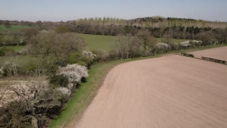 Frühling-Hecke-Blüte-Feld-Antenne-Landschaft-Landwirtschaft-Ackerland-Bäume-Warwickshire