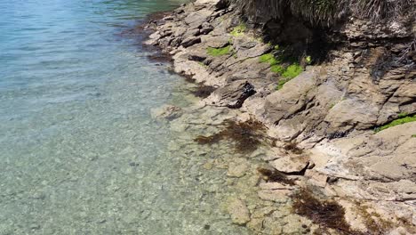Rocky-shore,-clear-sea,-lush-green-vegetation-and-beautiful-turquoise-colored-water-of-Queen-Charlotte-Sound