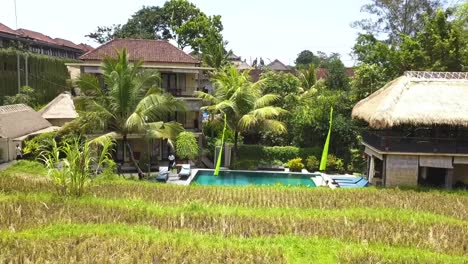 Increíble-Vista-Aérea-Vuelo-Campos-De-Arroz-Cabaña-De-Bambú-Hotel-Resort-Agradable-Piscina-Bali,-Ubud-Primavera-2017