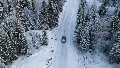 Following-a-car-driving-on-a-snowy-road-between-pine-trees-high-in-the-mountains