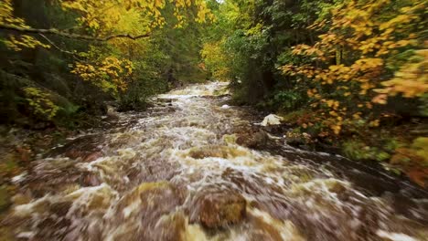 Nahflug-Gegen-Die-Strömung-Eines-Gebirgsflusses-Im-Goldenen-Herbst-Norwegens