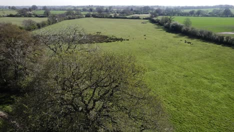 Frühlingszeit-Luftbild-Landschaft-Warwickshire-Blüte-Hecke-Feld-Ackerland-Ländlich