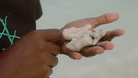 Detail-shot-of-some-corals-and-stones-of-an-exotic-beach-in-Kenya,-the-Diani-Beach