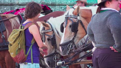 A-women-strokes-heads-of-horses-harnessed-to-carriages-on-Residenzplatz-square-in-Salzburg,-Austria