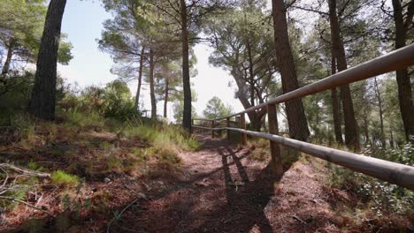 Hiking-on-a-Spanish-Mediterranean-trail-with-pines
