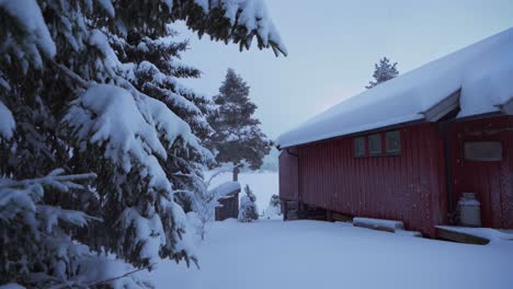 Schneebedeckte-Bäume-Und-Hütte-In-Indre-Fosen,-Norwegen---Breit