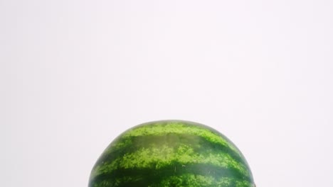 Bright-green-whole-watermelon-dropping-through-frame-on-white-backdrop-and-bouncing-up-and-down-in-slow-motion