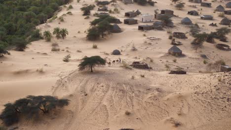 Camel-Herder-in-Terjit-Oasis-Village-in-Mauritania-Sahara-Desert