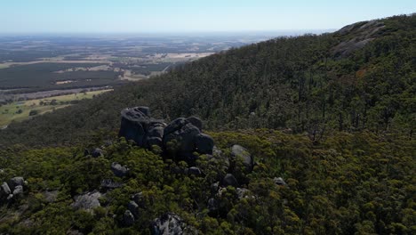 Aerial-orbit-of-treetop-lookout-in-Australian-bush,-farmland-in-background