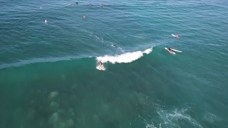 Surfer-carving-a-wave-at-waikiki-beach-in-honolulu-hawaii,-AERIAL-PULLBACK-DOLLY