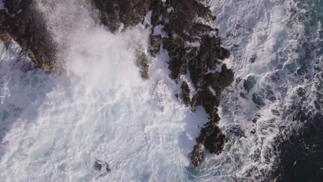 Harsh-and-aggressive-waves-crashing-violently-over-sea-stacks-in-oahu-west-honolulu-hawaii-explosive-crashes-of-white-sea-foam,-AERIAL-TOP-DOWN-STATIC