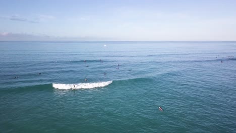 Surfers-far-away-in-the-background-riding-waves-on-waikiki-beach-in-honolulu-hawaii-on-turquoise-water,-AERIAL-DOLLR-TILT